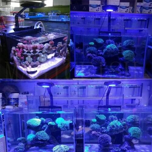 AQUANEST Mobile WIFI APP control Full spectrum seawater coral aquarium led lights imitation sunrise sunset pattern multiple