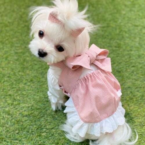 Spring Summer Dog Dresses For Small Dogs Cute Cat Clothes Pet Dog Dress Shirt Skirt Yorkshire Pomeranian Corgi Shih Tzu Apparel