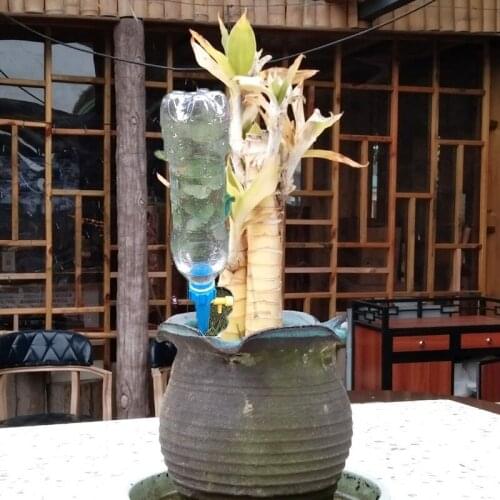 Automatic Drip Irrigation System Self Watering Spike for Plants Flower Greenhouse Garden Adjustable Auto Water Dripper Device