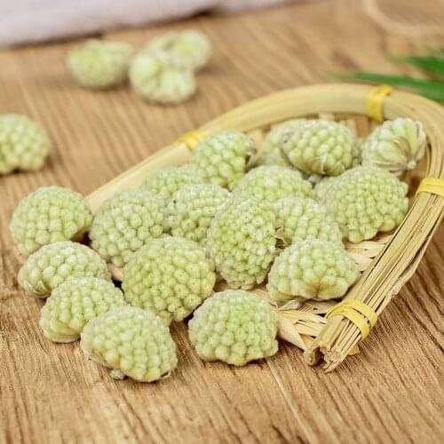 Direct Sales from Tibets New Green Dill Herbal Dried Flower Origin Health Care Wedding Party Supplies Dried Flower