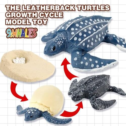 Educational Toy Simulation Animals PVC Leatherback turtles Growth Cycle Scene Design Simulation Powder Toy Decoration Gift