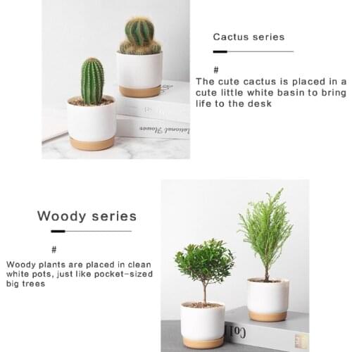 High Hardness Imitation Ceramic Plastic Flower Pot-Large/Small White Succulents Planter Plastic Plant Pots White M17E