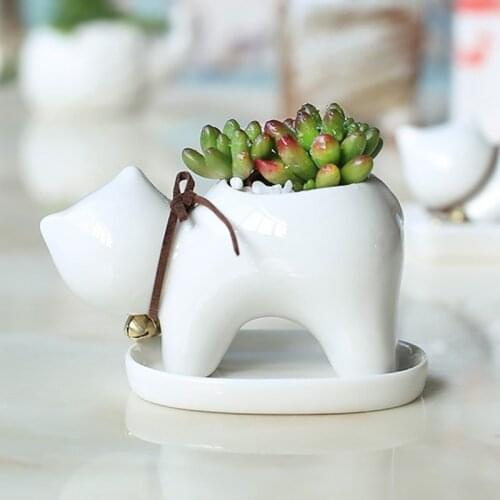 Creative Cartoon Ceramic Flower Pot Ceramic Fleshy Flower Pot Cat Small Animal Flower Pot Creative Bedroom Desktop Decoration