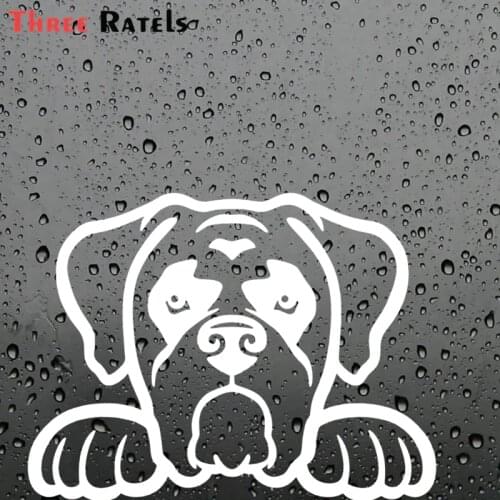 Three Ratels FD52 BOXER DOG PEEKING Vinyl Car Decal Window Sticker