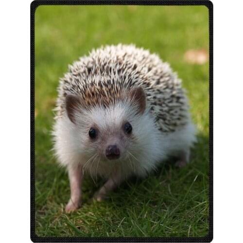 Soft hedgehog Print Sofa Bed Travel Warm Blanket Summer Air Conditioning Throw Blankets For Baby Kids