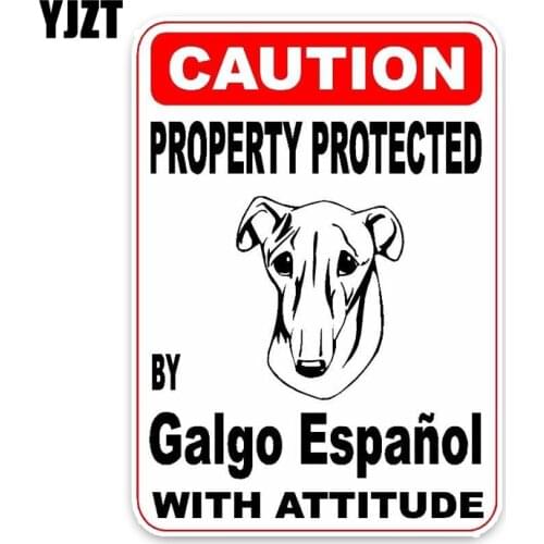 YJZT 15*11.4CM Property Protected By Galgo Espanol Dog Car Decoration Bumper Window Sticker C1-4712
