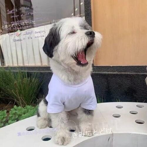 Spring Summer Pet Dog T-shirt Clothes For Small Medium Dogs French Bulldog Schnauzer Chihuahua Pug Hoodie Coat YKC23