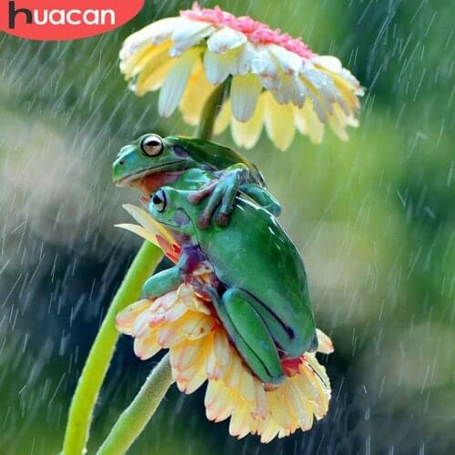 HUACAN Diamond Painting Animal 5D Diy Diamond Art Embroidery Mosaic Frog Cross Stitch Flower Wall Stickers