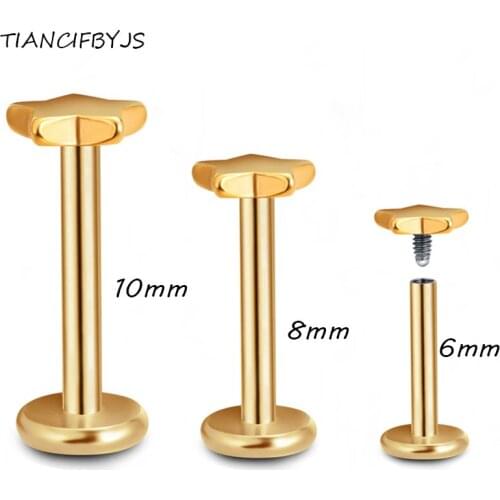 TICNCIFBYJS Lip Rings Steel Ear Cartiliage Piercing Stud 6/8/10mm Internally Threaded Labret Rings Lip Bars Body Jewelry 2pcs