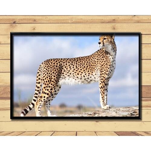 Cheetah Fierce Animal (24) Wall Posters Prints Silk Art Painting For Home Wall Bedroom Decor