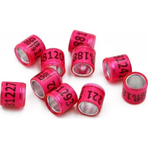 100Pcs Multicolor Pigeon Foot Ring With Word Earrings Quality Durable Bird Ring Pigeon Racing Rings Bird Training Tool