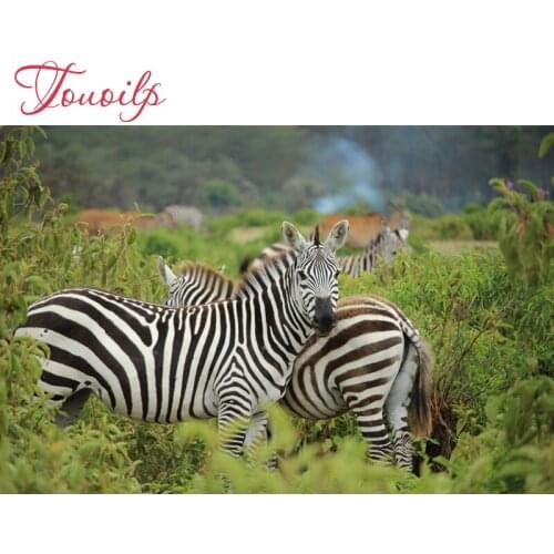 Full spuare&round Diamond Embroidery,Animal zebra ,5Diamond Painting,Cross Stitch Diamond Mosaic,Needlework,Christmas art