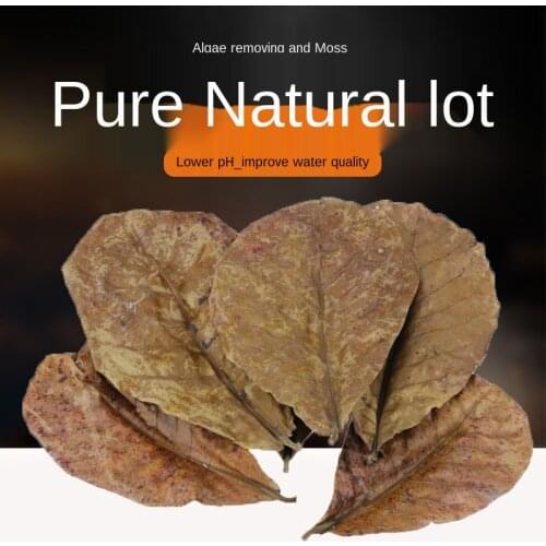 Aquarium accessories Fish aquarium Fish tank landscaping decoration, olive kernel leaves reduce acid, lower PH value, lazy leaf
