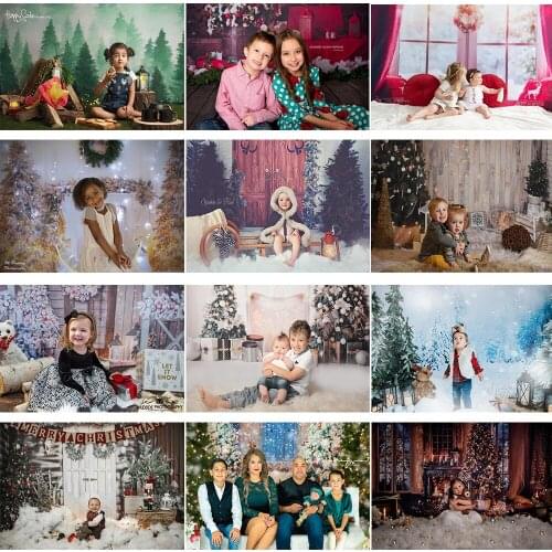 Winter Snow Christmas Photography Background Adult Kids Portrait Photo Booth Background Studio Children Baby Windows Photocall