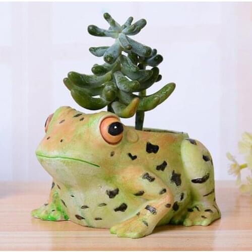 Creative cartoon Vivid Frog Succulent Plant Landscape Resin Flowerpot Small Succulent Plant Pot Succulent Planter