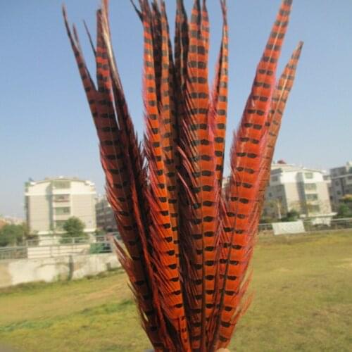 Wholesale 50 pcs orange beautiful Pheasant Feather 18-20 inches 45-50 cm