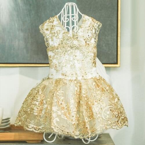 Princess Dog Cat Wedding Dress Tutu Pet Puppy Dresses Puppy Party Skirt Embroidery Cat Clothes Apparel XS -XL