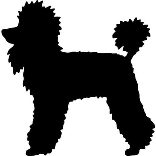 12.4*12.7CM Poodle Dog Cute Animal Vinyl Decal Classic Creative Cartoon Car Sticker Suitcase sticker