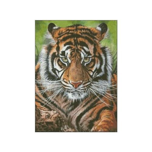 Tiger Animal Cross Stitch Kits Oil Painting Needlework 14CT Unprinted Embroidery Top Quality Counted DIY Handmade Decoration