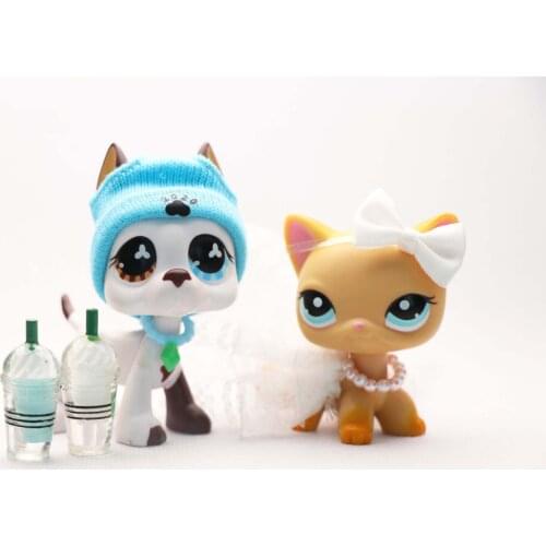 Pet Shop Littlest Mini Great Dane Dog Blue Eyes Puppy #577 Shorthair Cat #339 With 7pcs Kid