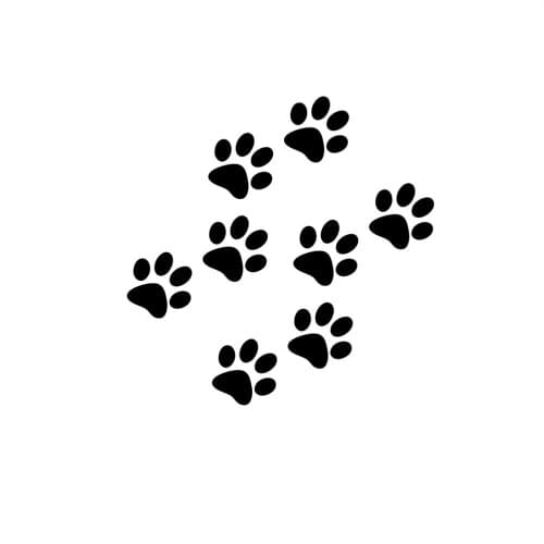 Fashion Footprint Cat Claw Graphic Car Sticker Decoration Fun Racing Car Window Side Door Motorcycle Vinyl Auto Accessories