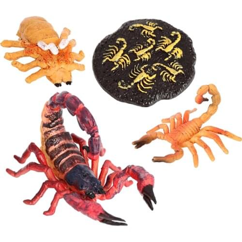Red Insect Scorpion Lore Life Cycle - 4 Pcs Insect Figure Shows Life Eggs Hatch