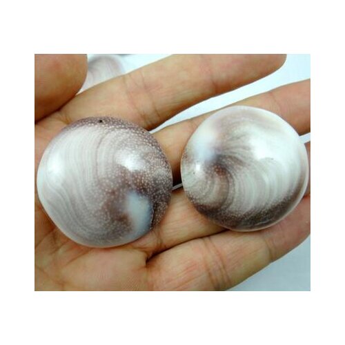 Natural stone Turquoises Quartz Crystal DecoSpiral Ammr pendant for diy Jewelry making necklace Accessories6pcs