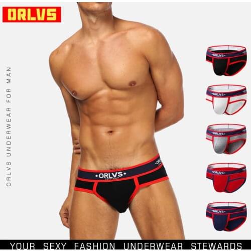 ORLVS Brand Sexy Briefs Men Underwear Male Panties Cotton Breathable Cueca Tanga Quick Dry Male Underpants Men Briefs Mesh OR145