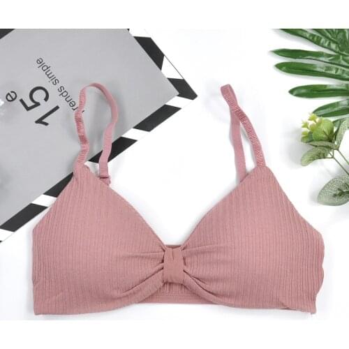 Active Bras Sexy Lace V-neck Women Plus Size Elastic Push Up Mesh Intimates Wireless Underwear Summer Brallette Padded Clothes