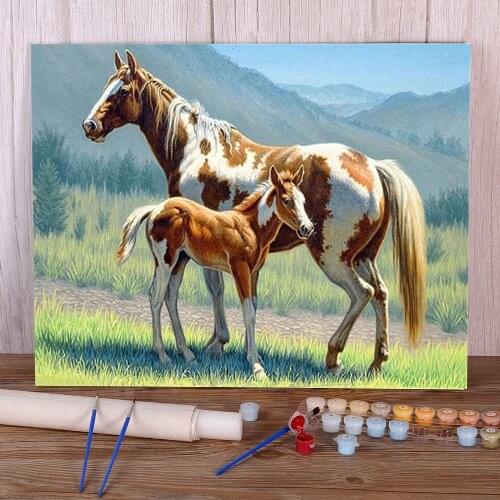 Animal Horse Flower DIY Painting By Numbers Complete Kit Oil Paints 50*70 Paiting By Numbers Decoration Crafts Wholesale