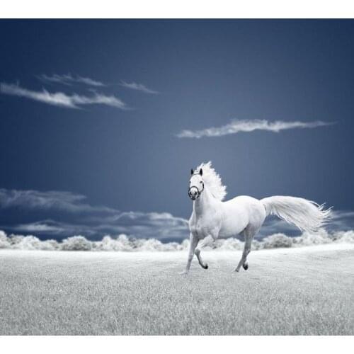 LIPHISFUN Full Drill Diamond Painting Handmade Cross Stitch Embroidery Square/round DIY Horse Cute Animal