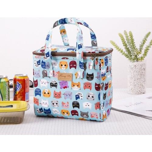 New 9L Portable Lunch Bag New Outdoor Ice Bag Insulated Case Cartoons PVC waterproof Keep Warm Lunch Box Bag