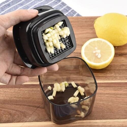 Basedidea Garlic And Garlic Press