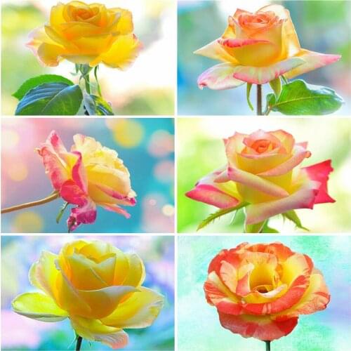 EverShine DIY Diamond Embroidery Flower Full Square Diamond Painting Rose Rhinestones Mosaic Cross Stitch Wall Decor