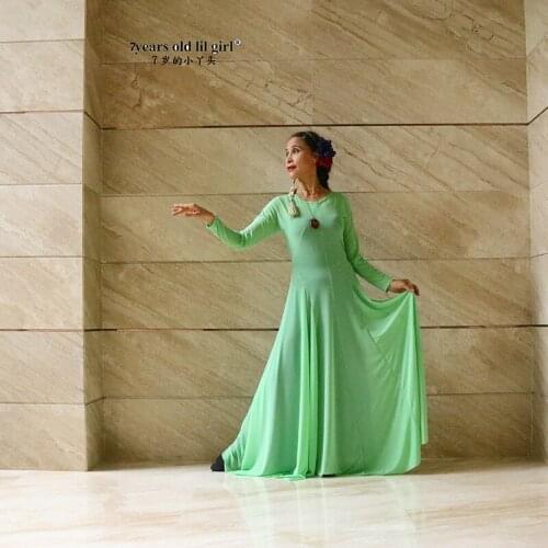 Belly Suit Danse Classical Performance Clothes Bellydance Costume Gypsy SkirtCZZ07