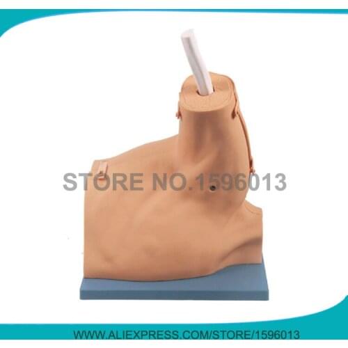 Advanced Shoulder Arthroscopy Model, Medical Arthroscopic Examination Training Shoulder Joint Model