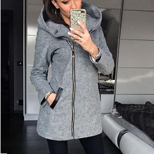 Winter Women Coat Leisure Fashion Side Zipper Plush Loose Coat Hooded Jackets Sweater Female Jackets Loose Down Outerwear