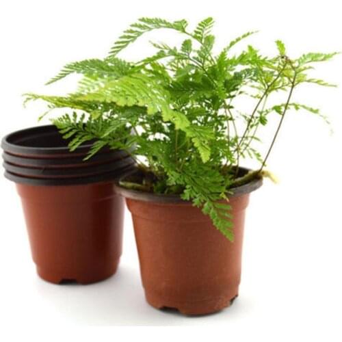 10pcs Succulents Reusable Balcony Container Transplant Plant Nursery Lightweight Round Garden Drain Washable Plastic Flower Pot