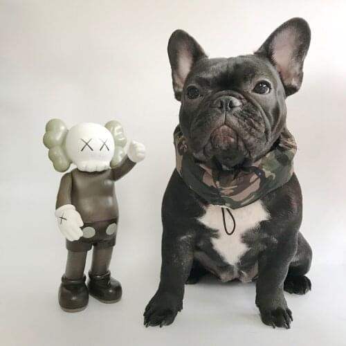 Dog Collar Summer Breathable Ice Towel Pet Cooling Scarf For Chihuahua French Bulldog Dogs Cat Cool Neck Wrap Cooling Artifact