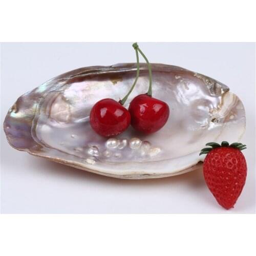 Wholesale River Natural White 12*17cm Lip Mother Of Pearl Shell Artwork Pieces