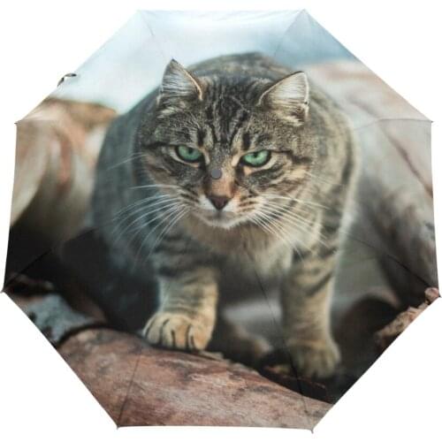 The Fox Tabby Cat Printed Automatic Umbrella Hot sales Fully Automatic Umbrella For women Fashion Creative 3 Folding Umbrella