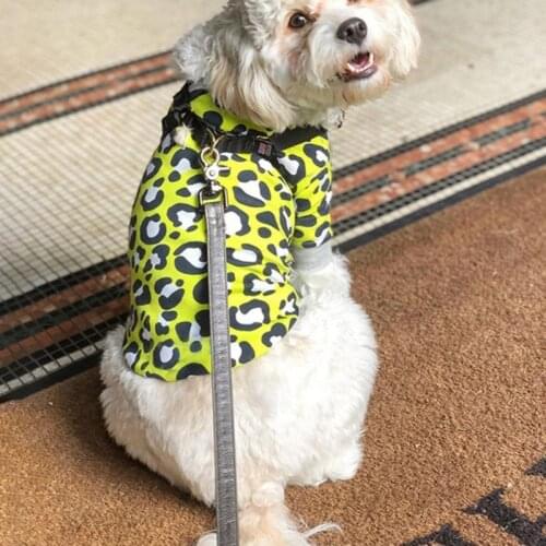 Summer Dog Clothes Spring Dog Vest Down Jacket Puppy Small Medium Dog T-Shirt French Bulldog Yorkshire Chihuahua Cat Tshirt