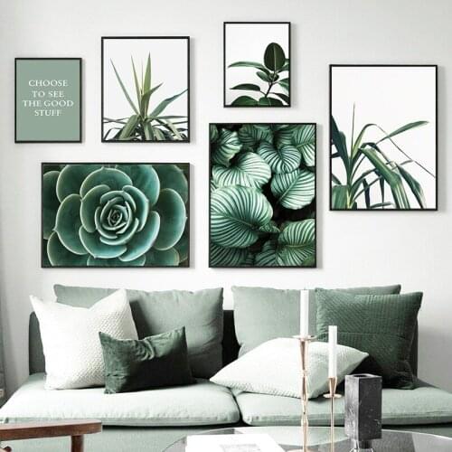 Nordic Green Orchid aloe Monstera Plant Art Canvas Painting Posters And Prints Wall Pictures For Living Room Home Decor TB139