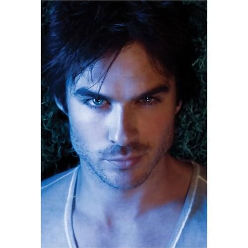 3D 5D diamond painting full square/round,The Vampire Diaries,diamond painting,Home Decoration,Poster picture,Ian Somerhalder