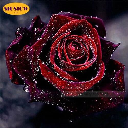 DIY 5D Diamand Painting Roses Love Flower Full Square Drill 3D Embroidery Diamond Rose Mosaic Cross Stitch Kits Home Decor Room