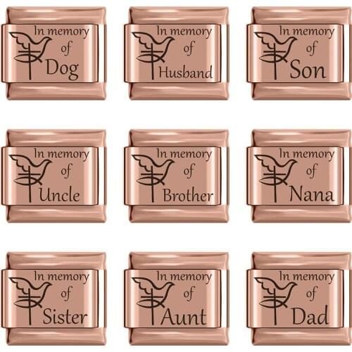 Hapiship Original Daisy Rose in memory of Son Wife Grandpa Dad Brother Friend Cat Charm Fit 9mm Bracelet Jewelry Making DJ314