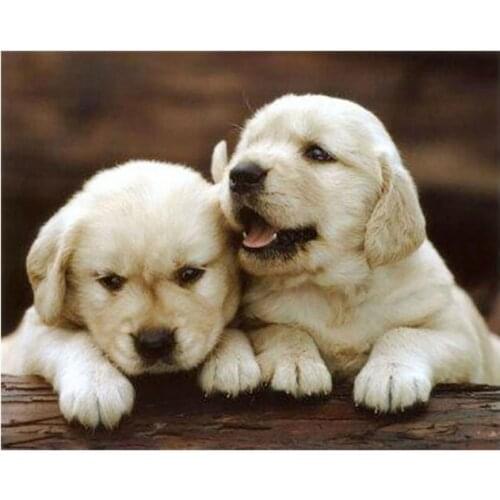 5d diy puppy diamond mosaic full square embroidery painting dogs rhinestone wall sticker decor diamond art needlework handcraft