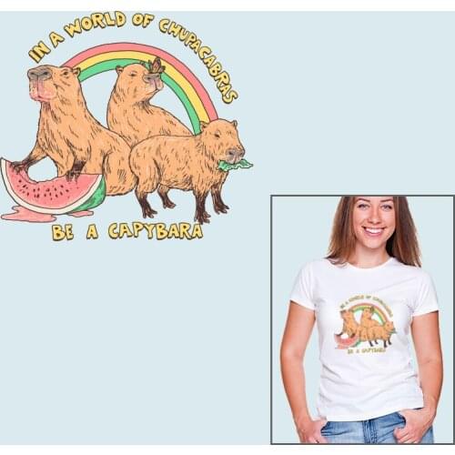 Watermelon rainbow Marmot Heat Transfer Applique on Clothes Garment Accessories Stickers on Clothes Vinyl Sticker For Clothe