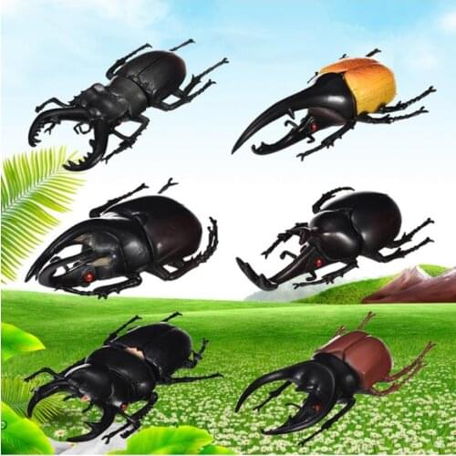 6pcs/set Simulation Solid Static Insect Model Ornaments Realistic Beetle Toy Q6PD
