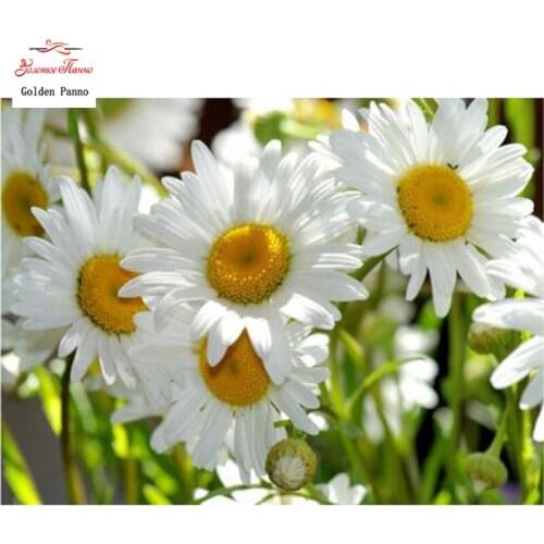 GOLDEN PANNO Diamond Painting Full Square 5D Diy Daimond Embroidery Diamant Mosaic Sale Displasy Broderie Diamant Daisy 02